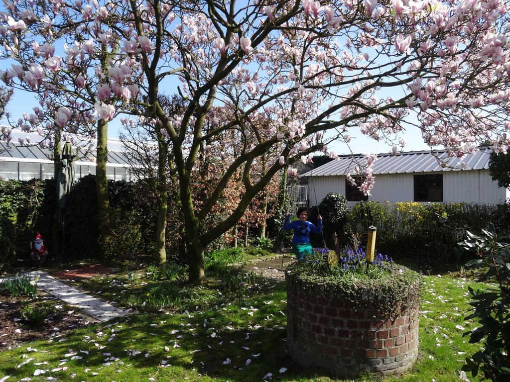Hostellerie Daiseldaele Dadizele Exterior foto